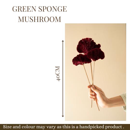 Red Sponge Mushroom -Set Of 5