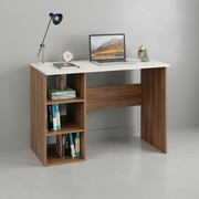 Study Table for Home Office with Storage - Carren
