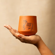 Kapila Glass