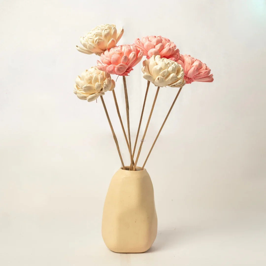 Twisted 8 Cm | Baby Pink and White