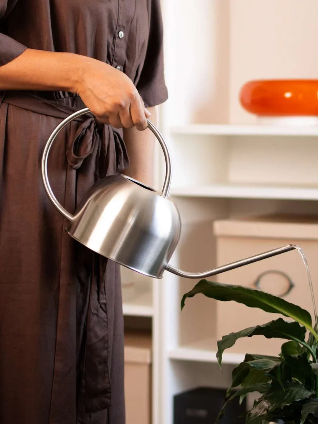 Stainless Steel Watering Can 1.2L | Garden Sprinkler Can Indoor & Outdoor Plant Care