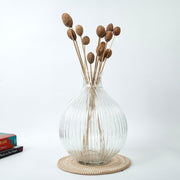 Brown Amra Dried Flower Bunch | Natural Dried Amra Pods for Home Decor | Set of 15 Sticks