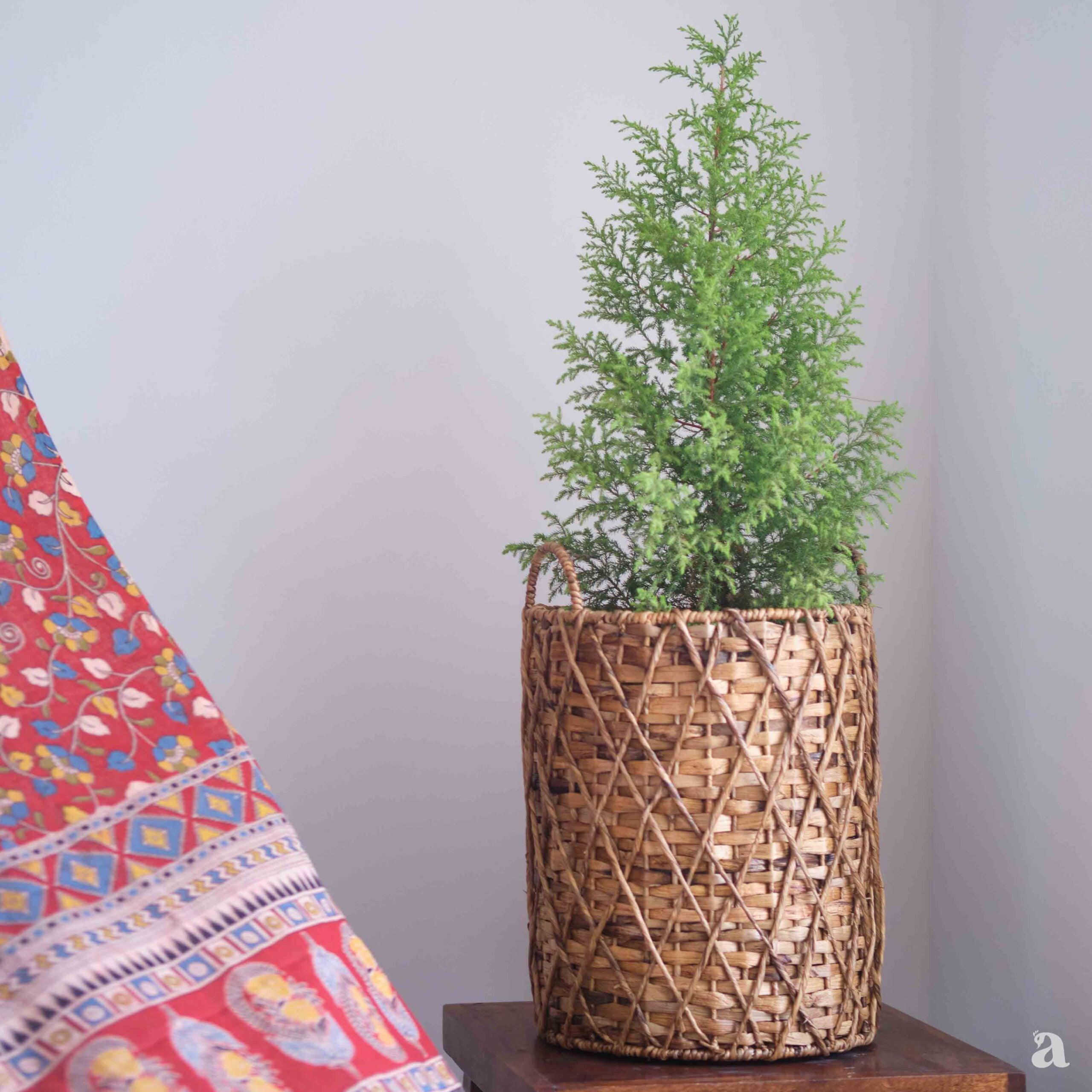 buy-basket-jewel-wicker-linen-storage-basket-by-ardpure-on-ikiru-online-store-4 - IKIRU