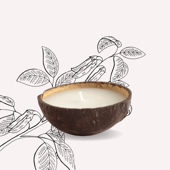 Buy Candle - Coconut Shell Soy And Coconut Wax Candle by Atisa on IKIRU online store