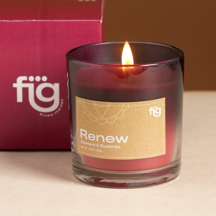 Buy Candle - Renew Berries Vegan Scented Candle - Palm Wax Scented by Fig on IKIRU online store