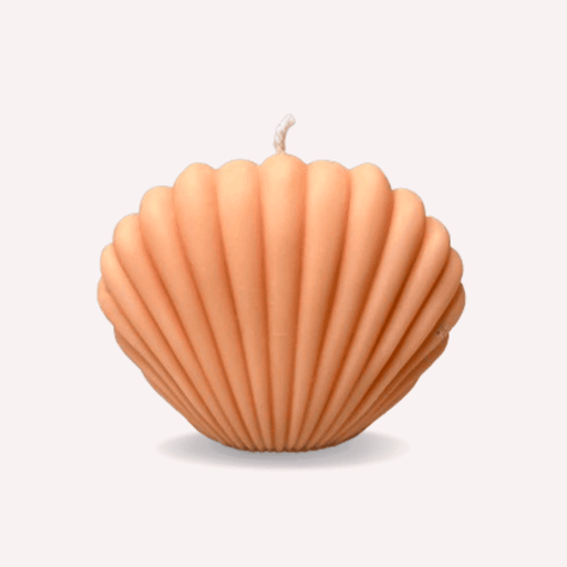 Buy Candle - Sea Shell Soy Wax Candle for Table Decor | Decorative Beeswax Lights by Atisa on IKIRU online store