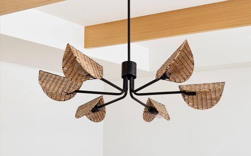 Buy Chandelier - Rudolf Cane & Black Metallic Chandelier Hanging Lamp For Living Room & Home by Orange Tree on IKIRU online store