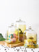 Buy Cloche - Glass Bell Jar Yellow for Kitchen Set of 2 | Food Preservation Pot by The Table Fable on IKIRU online store