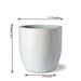 Buy - Cup Shaped Fiberglass Floor Planter | Tabletop Standing Flower Pot For Home Decor by Lloka on IKIRU online store