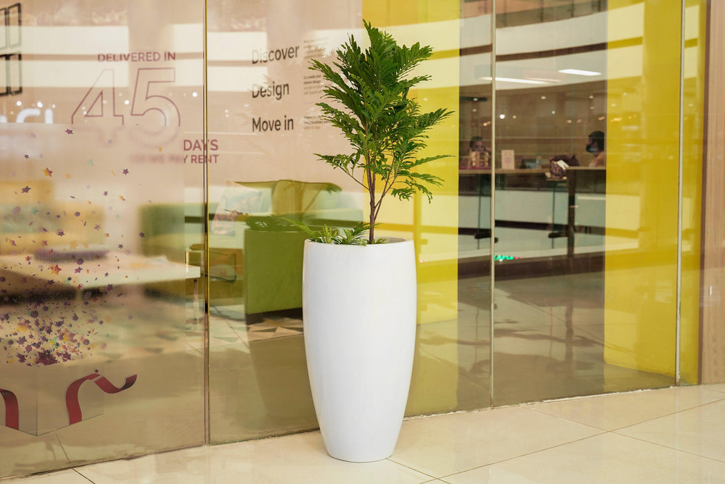 Buy - Decorative Fiberglass Floor Planter | Plant & Flower Pot For Home Decor by Lloka on IKIRU online store