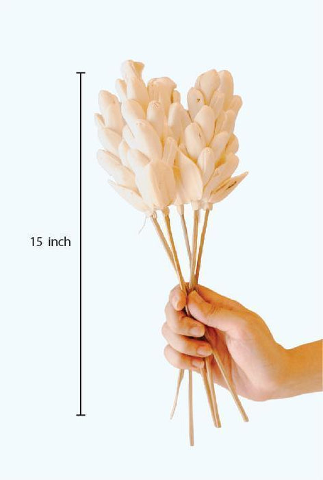 Buy Dried Flowers & Fragrance - Akondo Stick by Arte Casa on IKIRU online store