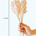 Buy Dried Flowers & Fragrance - Akondo Stick by Arte Casa on IKIRU online store