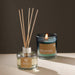 Buy Dried Flowers & Fragrance - Balance Peppermint Reed Diffusor - IFRA Standard Perfumes by Fig on IKIRU online store