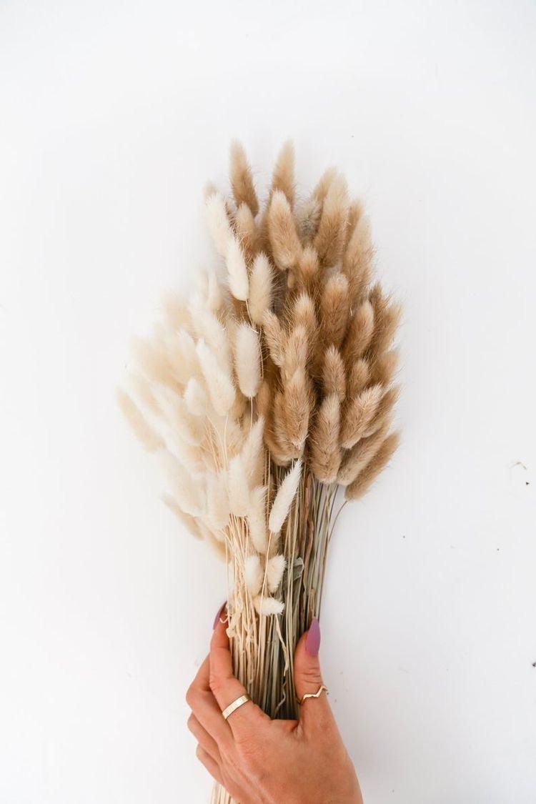 Buy Dried Flowers & Fragrance - Brown Bunny Tails Naturally Dried Flower Stick Set of 30 For Home Decor by Arte Casa on IKIRU online store