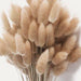 Buy Dried Flowers & Fragrance - Brown Bunny Tails Naturally Dried Flower Stick Set of 30 For Home Decor by Arte Casa on IKIRU online store