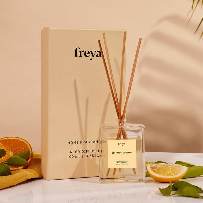 Buy Dried Flowers & Fragrance - Citrusy Cosmos Reed Diffuser by Freya Home on IKIRU online store