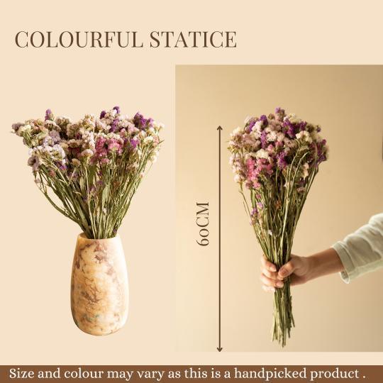 Buy Dried Flowers & Fragrance - Colourful Statice by Arte Casa on IKIRU online store