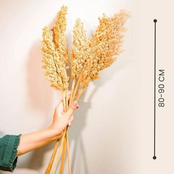 Buy Dried Flowers & Fragrance - Corn Bunch by Arte Casa on IKIRU online store