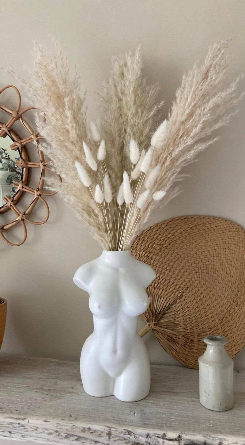 Decorative White Natural Dried Pampas Bunny Bunch for Office Desk