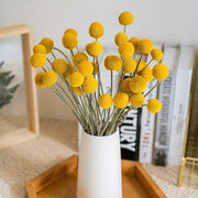 Buy Dried Flowers & Fragrance - Decorative Yellow Natural Dried Billy Balls Flower For Home Decoration by Arte Casa on IKIRU online store