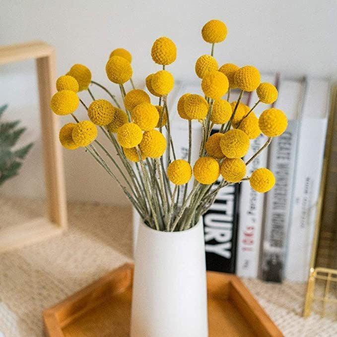 Buy Dried Flowers & Fragrance - Decorative Yellow Natural Dried Billy Balls Flower For Home Decoration by Arte Casa on IKIRU online store