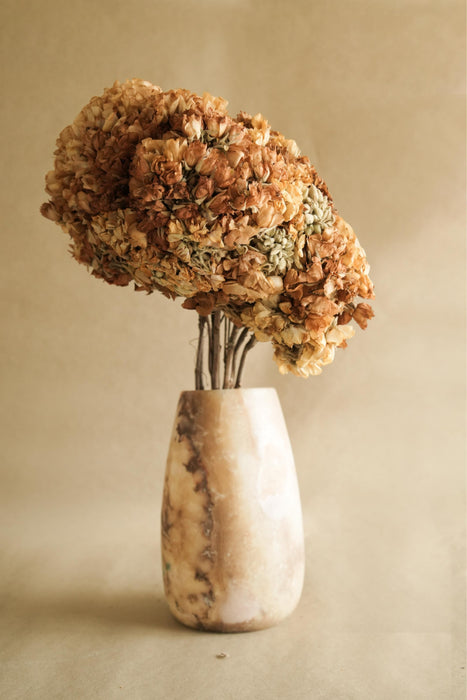 Buy Dried Flowers & Fragrance - Dombeya Flower Bunch by Arte Casa on IKIRU online store