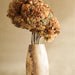 Buy Dried Flowers & Fragrance - Dombeya Flower Bunch by Arte Casa on IKIRU online store