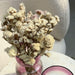 Buy Dried Flowers & Fragrance - Dried flower by Muun Home on IKIRU online store