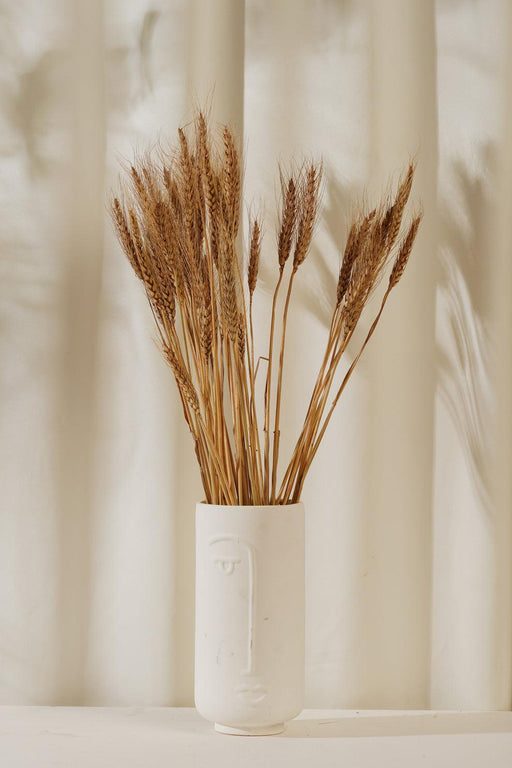Buy Dried Flowers & Fragrance - Dried Wheat Grass Stems for Home Decor | Artificial Stems for Vases by Purezento on IKIRU online store