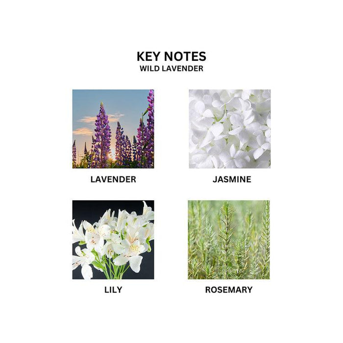 Buy Dried Flowers & Fragrance - Floral Lavender Room Mist by Freya Home on IKIRU online store