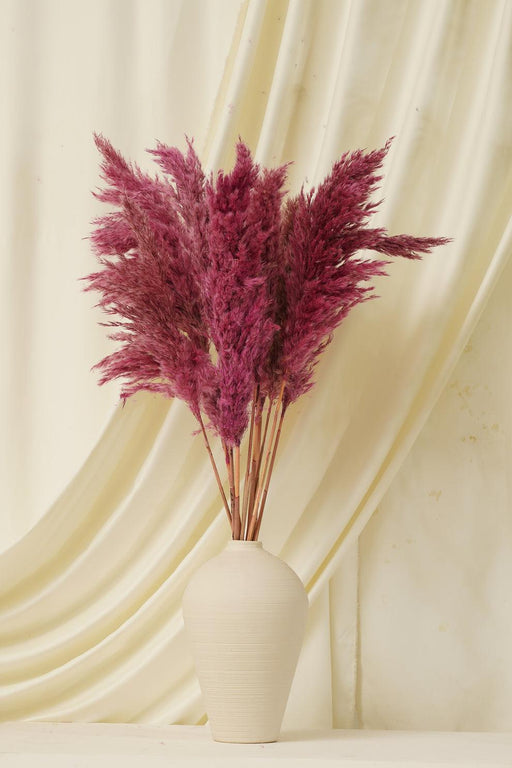 Buy Dried Flowers & Fragrance - Fluffy Pampas Stems | Artificial Flowers for Vase by Purezento on IKIRU online store