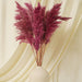 Buy Dried Flowers & Fragrance - Fluffy Pampas Stems | Artificial Flowers for Vase by Purezento on IKIRU online store