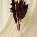 Buy Dried Flowers & Fragrance - Fluffy Pampas Stems | Artificial Flowers for Vase by Purezento on IKIRU online store