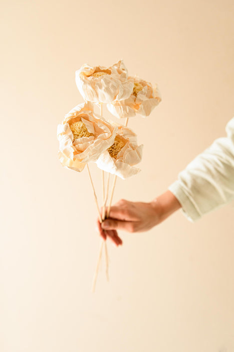 Buy Dried Flowers & Fragrance - Handmade Natural Cabbage Flower by Arte Casa on IKIRU online store