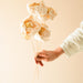 Buy Dried Flowers & Fragrance - Handmade Natural Cabbage Flower by Arte Casa on IKIRU online store