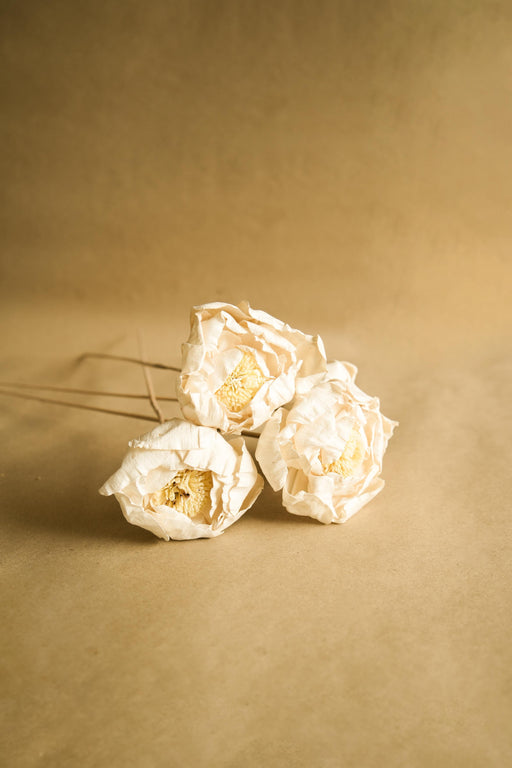 Buy Dried Flowers & Fragrance - Handmade Natural Cabbage Flower by Arte Casa on IKIRU online store