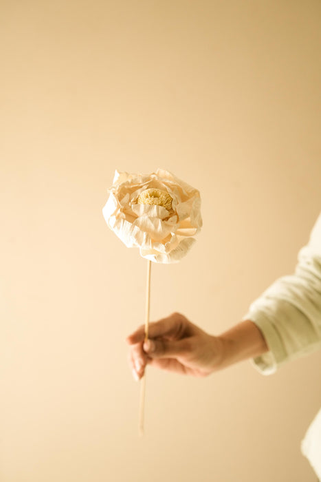 Buy Dried Flowers & Fragrance - Handmade Natural Cabbage Flower by Arte Casa on IKIRU online store