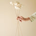 Buy Dried Flowers & Fragrance - Handmade Natural Cabbage Flower by Arte Casa on IKIRU online store