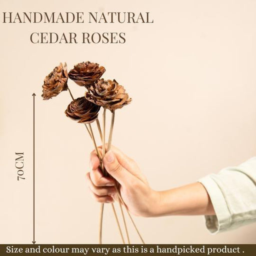 Buy Dried Flowers & Fragrance - Handmade Natural Cedar Roses by Arte Casa on IKIRU online store