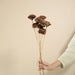 Buy Dried Flowers & Fragrance - Handmade Natural Cedar Roses by Arte Casa on IKIRU online store