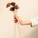 Buy Dried Flowers & Fragrance - Handmade Natural Cedar Roses by Arte Casa on IKIRU online store