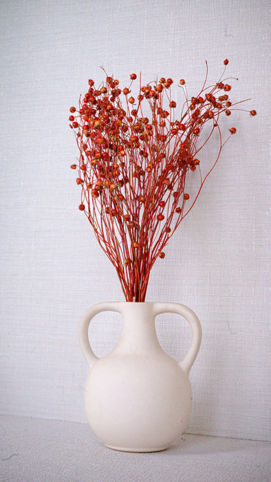 Buy Dried Flowers & Fragrance - Linum red flax bunch by IDIKA Living on IKIRU online store
