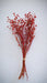 Buy Dried Flowers & Fragrance - Linum red flax bunch by IDIKA Living on IKIRU online store