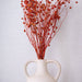 Buy Dried Flowers & Fragrance - Linum Red Flax Bunch | Artificial Flower Decor by IDIKA Living on IKIRU online store