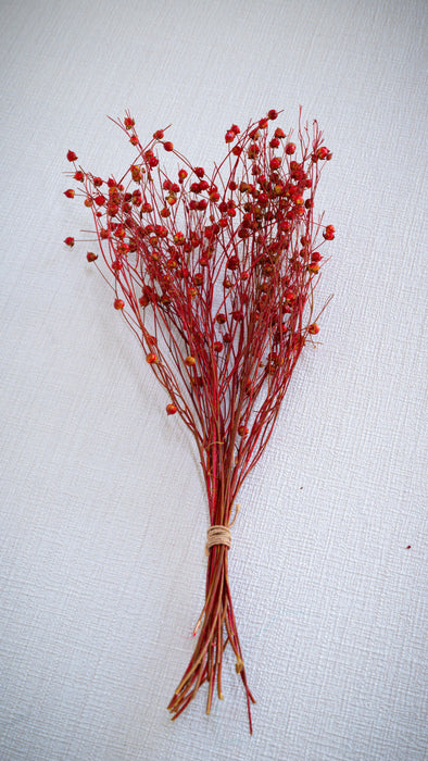 Buy Dried Flowers & Fragrance - Linum Red Flax Bunch | Artificial Flower Decor by IDIKA Living on IKIRU online store