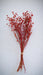 Buy Dried Flowers & Fragrance - Linum Red Flax Bunch | Artificial Flower Decor by IDIKA Living on IKIRU online store