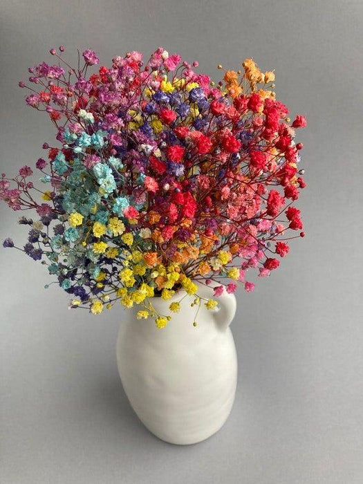Buy Dried Flowers & Fragrance - Multicolour Preserved Dry Baby Breaths Bunch Flower Bouquet For Home Decor by Arte Casa on IKIRU online store