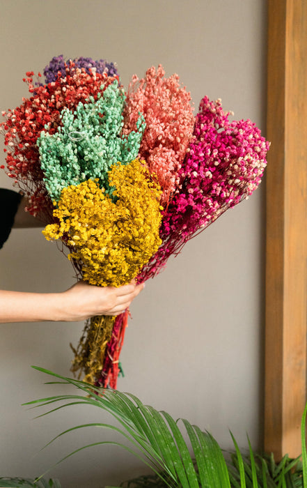 Buy Dried Flowers & Fragrance - Multicolour Preserved Dry Baby Breaths Bunch Flower Bouquet For Home Decor by Arte Casa on IKIRU online store
