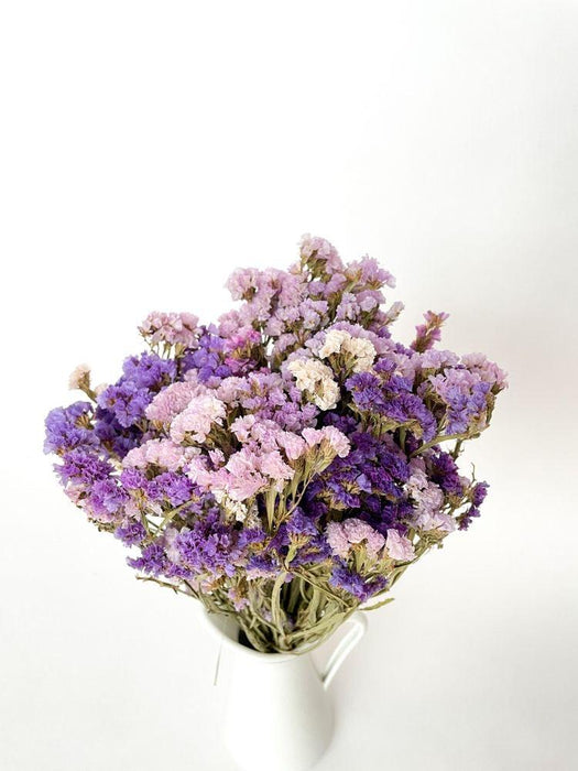Buy Dried Flowers & Fragrance - Multicolour Statice Dried Flower Bunch Bouquet For Home Decoration by Arte Casa on IKIRU online store