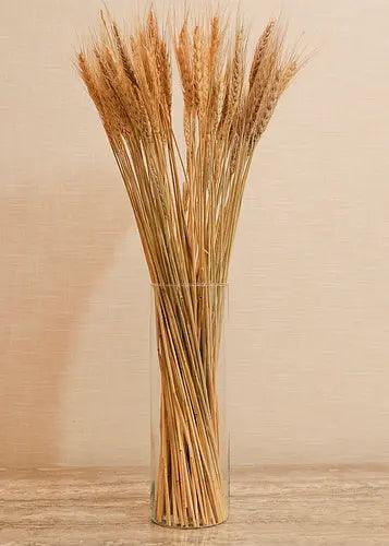 Buy Dried Flowers & Fragrance - Natural Dried Flower Wheat Grass Bouquet Set of 30 For Home Decor by Arte Casa on IKIRU online store